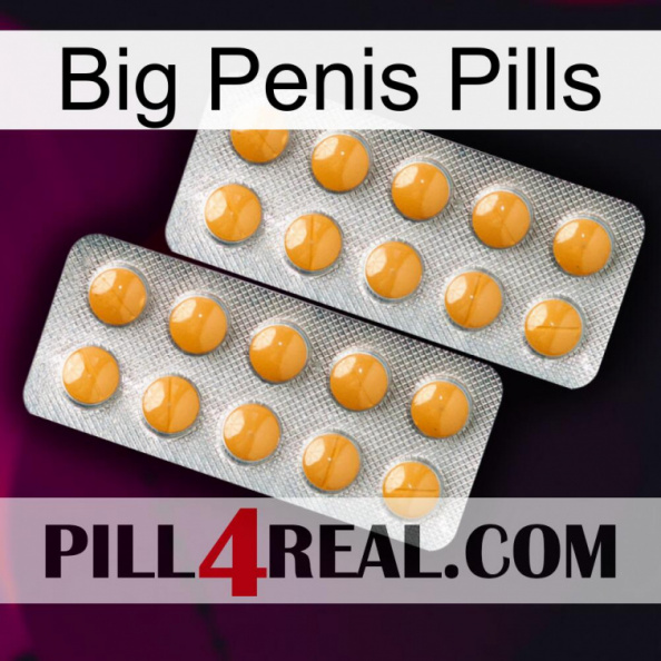 Big Penis Pills levitra2.jpg